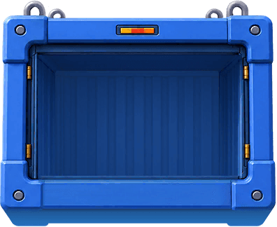 An open shipping container holding the surprise gift